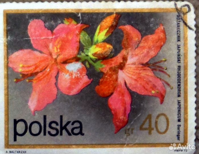 Марка польская