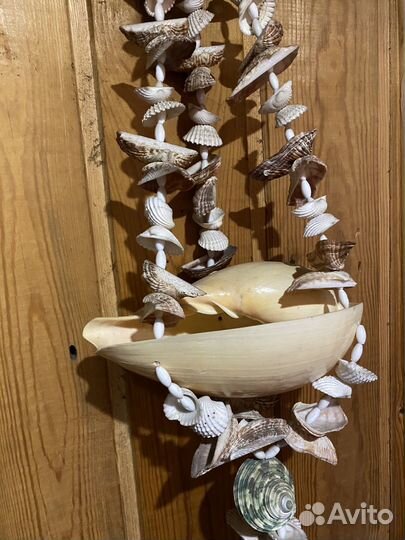 Декор из ракушек