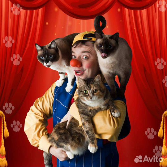 Билеты в театр Куклачёва