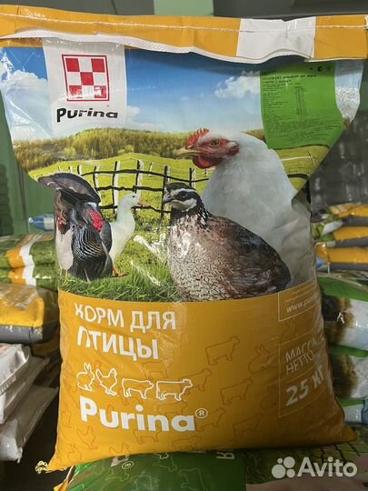 Комбикорм Пурина
