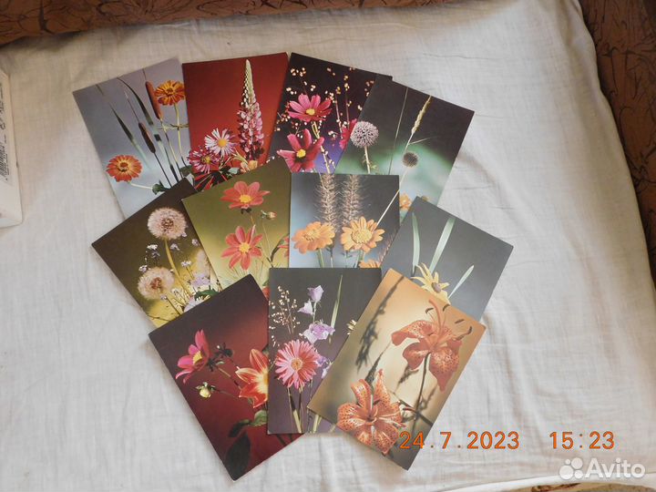 Коллекция открыток