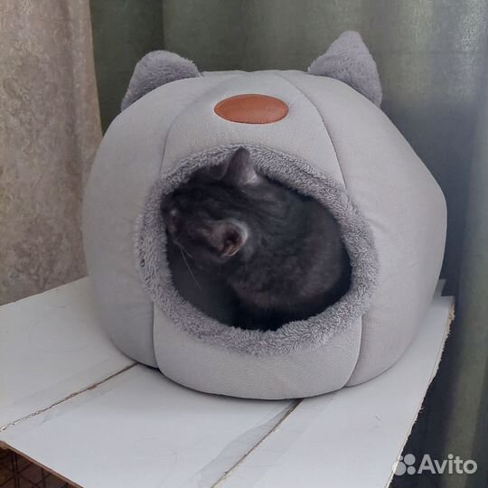 Домик для кошки мягкий б/у