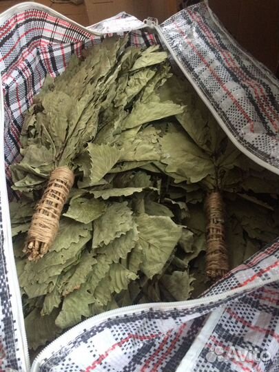 Веники Дубовые 