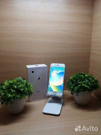 iPhone 8, 64 ГБ