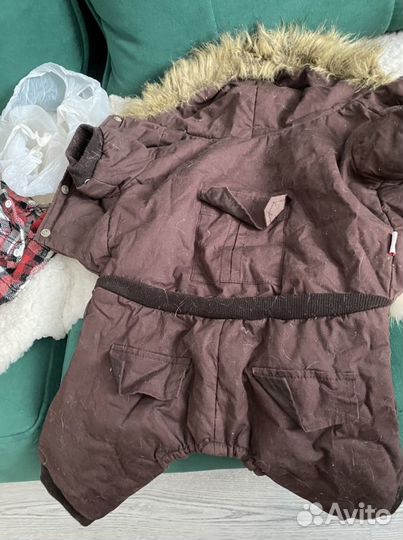 Одежда для собак