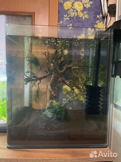 Аквариум dennerle 60 литров. бронь