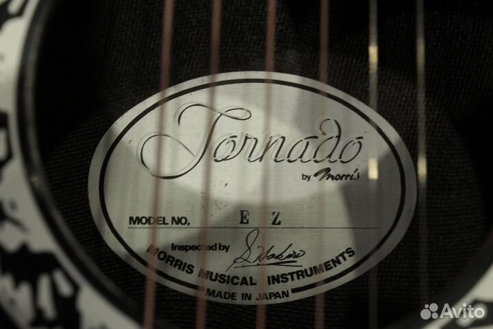 Электроакустика Tornado Eclipse by Morris EZ Japan