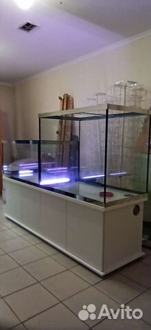 Аквариумный комплекс торговли рыбой раками комплек