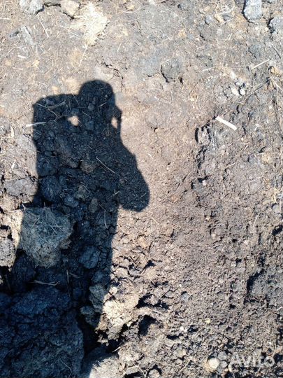 Для сада и огорода