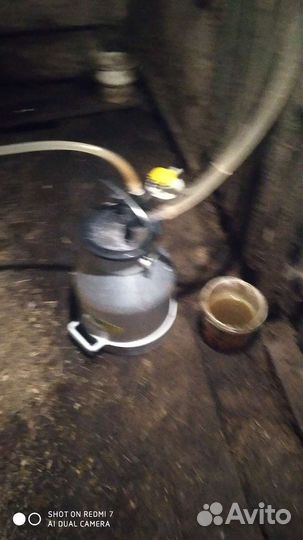 Две дойные коровы +доильный аппарат