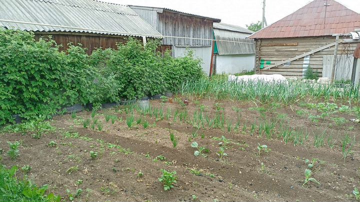 Дом 25,6 м² на участке 6,6 сот.