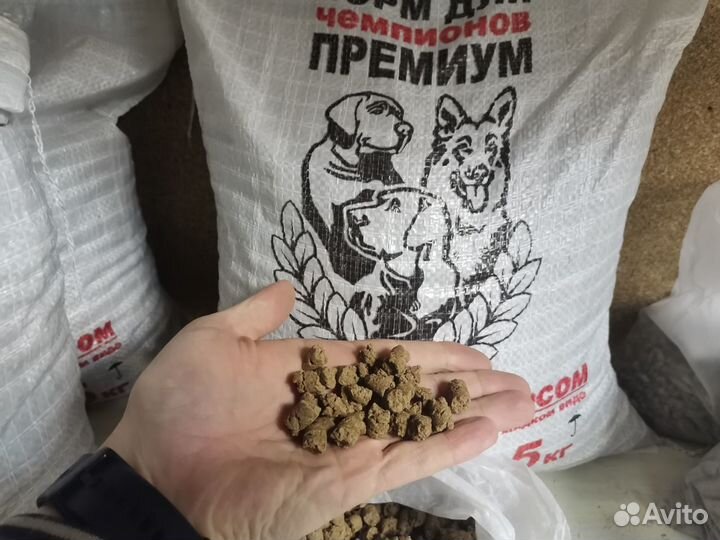 Корм для собак