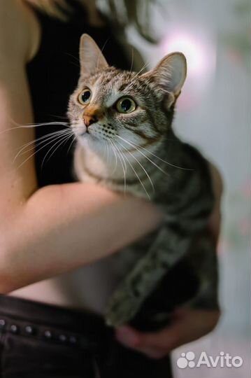 Малышка Анфиска. Приют Некрасовка