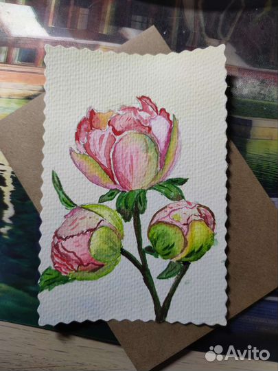 Нежнейшие пионы. Открытка. А 5. Акварель
