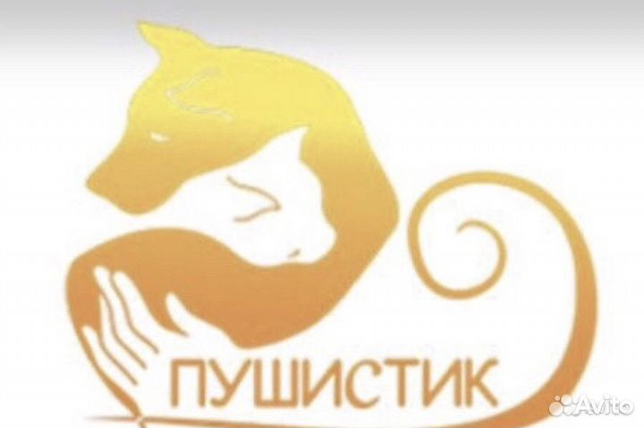 Грумер.Мастер по стрижке собак и кошек