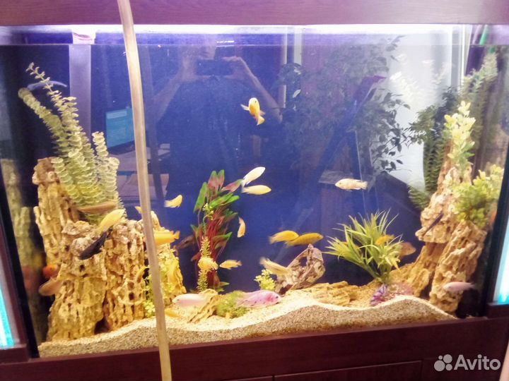 Перевозка аквариума