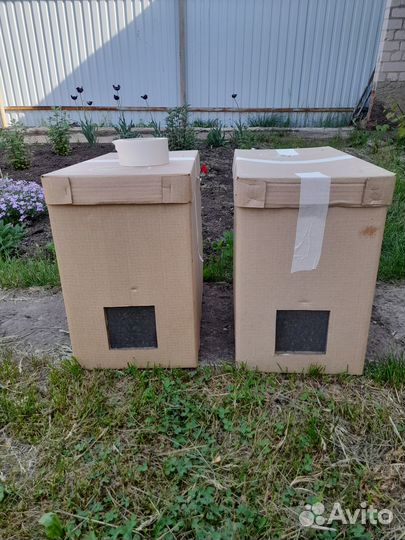 Продаю пчелопакеты