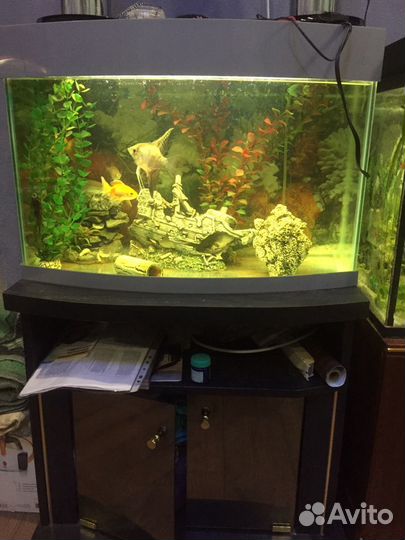 Аквариум