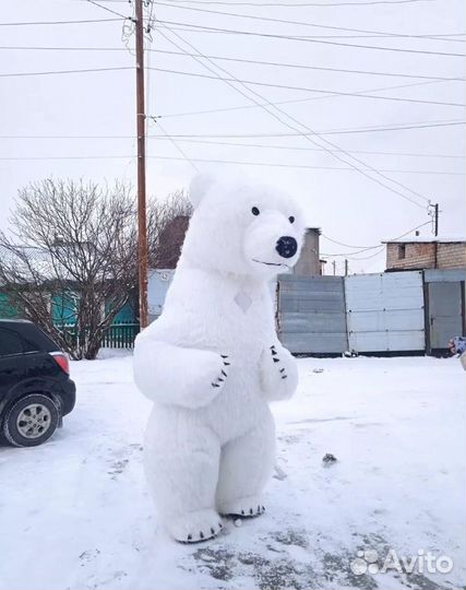 Белый мишка поздравление