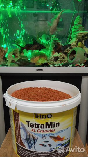 Корм TetraMin XL Granules для аквариумных рыб