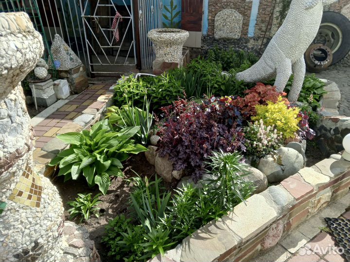 Домашние цветы