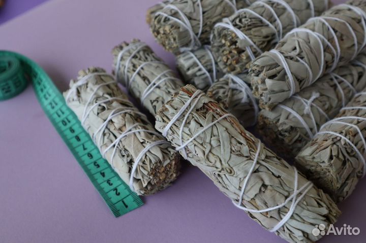 Шалфей Белый от 300шт опт для Вайлберис