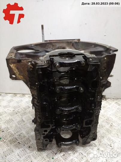 Блок цилиндров M9R782 Renault Trafic (2001-2014)