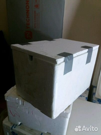 Черви Дендробена