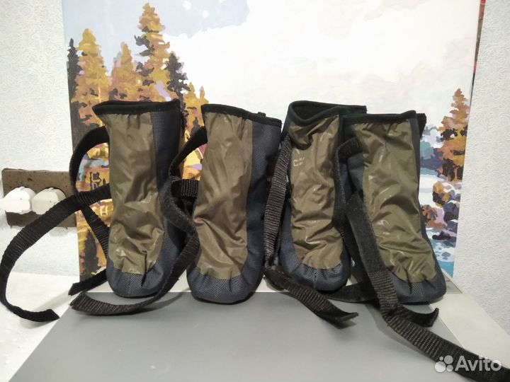 Обувь для собак