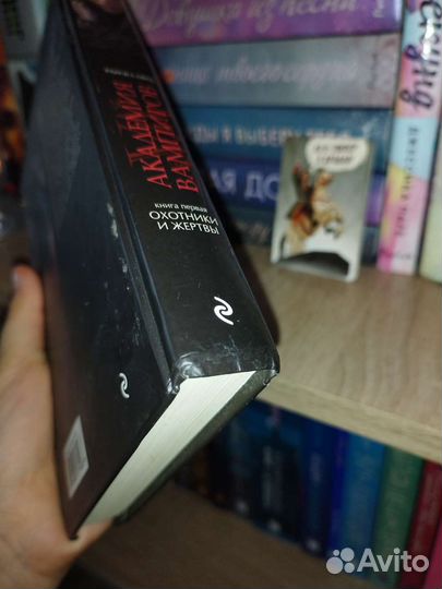 Академия вампиров.1 книга