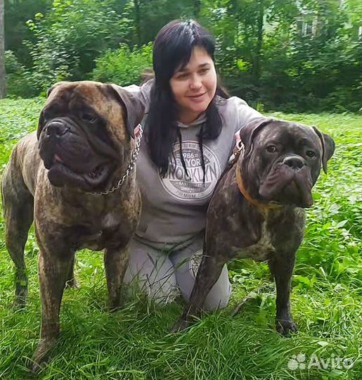 Инструктор по вязке