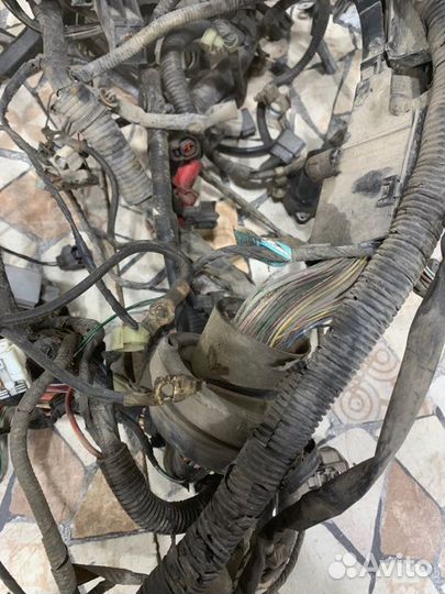 Проводка двс Mazda 6 седан 2.0 LF 2005