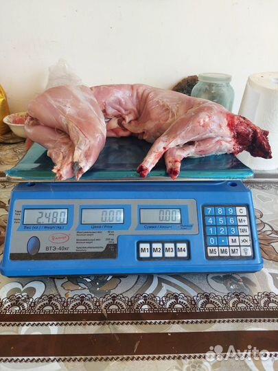 Мясо кролика