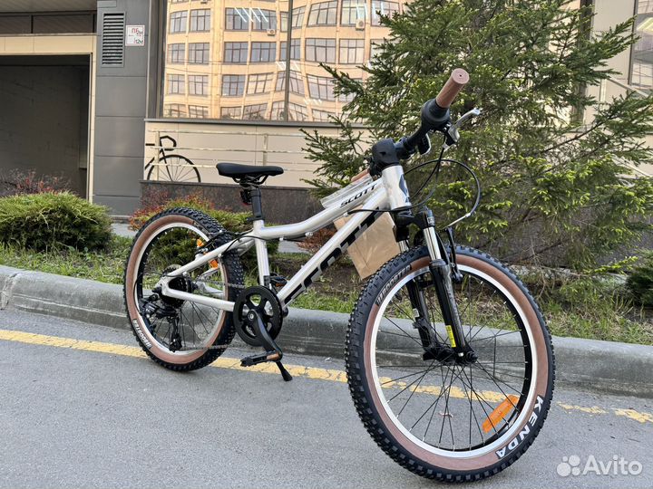 Новый Scott scale 20 2024