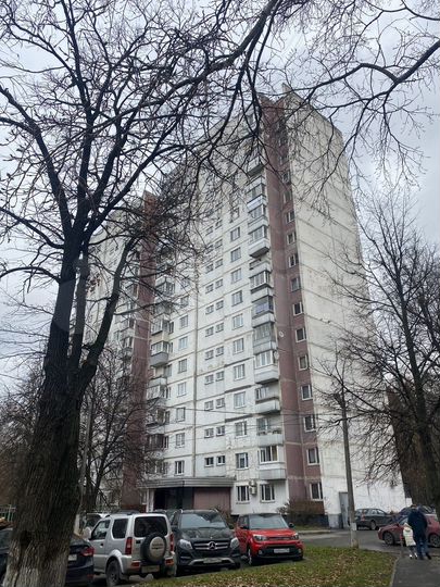 2-к. квартира, 54,2 м², 13/16 эт.