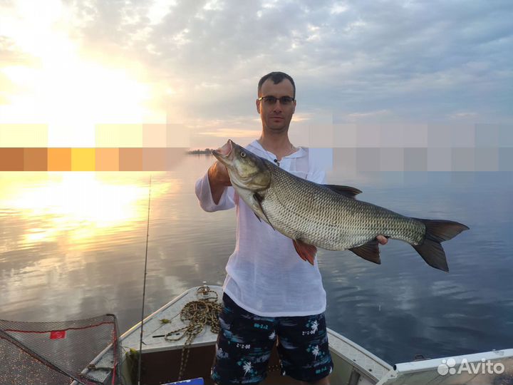 Рыбалка с лодки на Волге