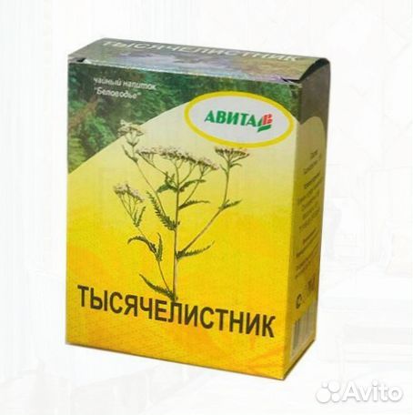 Тысячелистник Оптом Авита