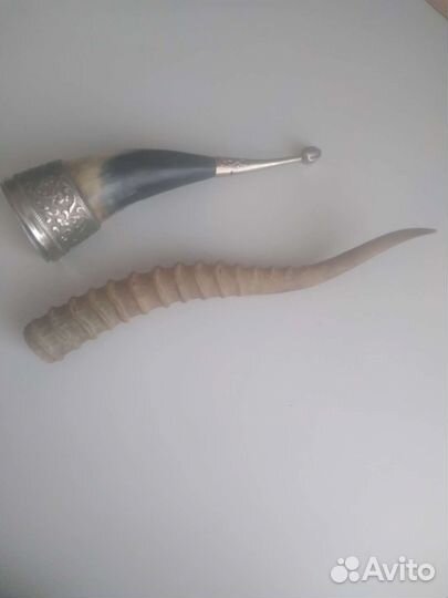 Рог натуральный