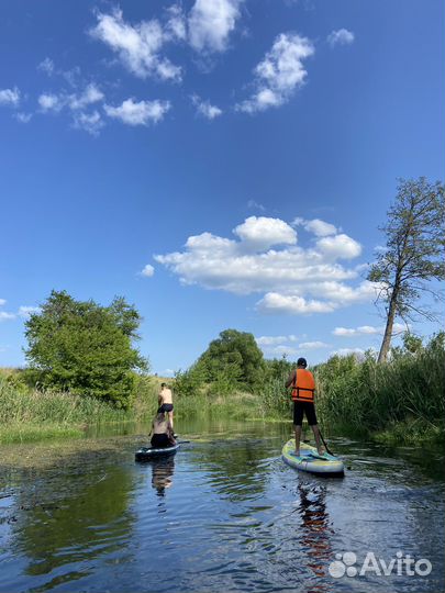 Аренда sup доски