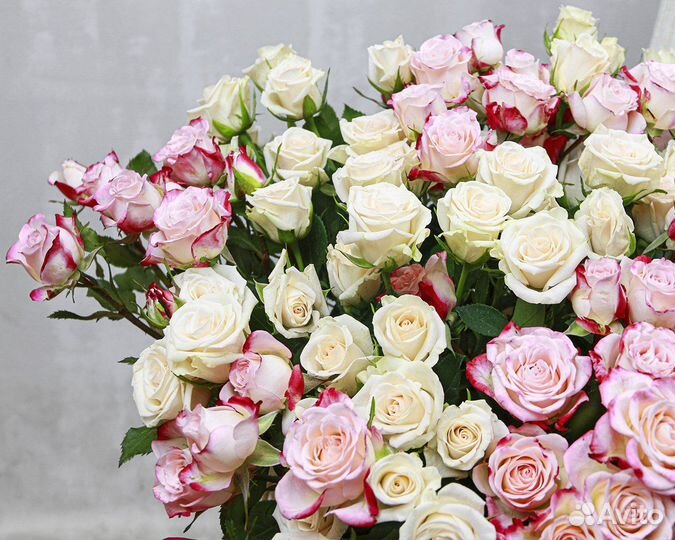 Букет из 19 высоких кустовых роз (Кения)