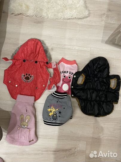 Одежда для маленьких собак s