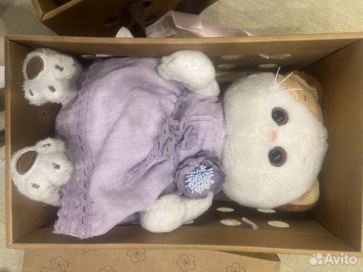 Кот Басик и Лили