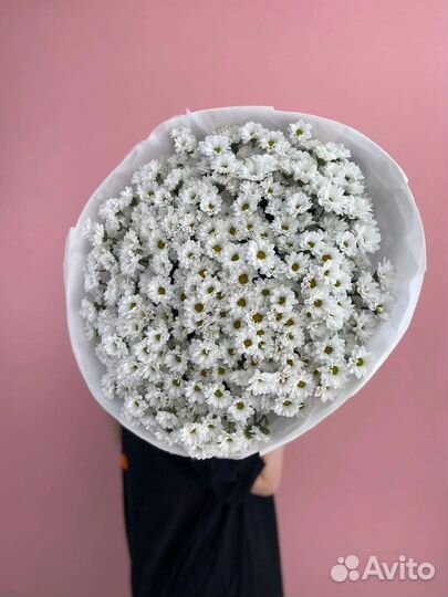 Купить хризантемы для букетов