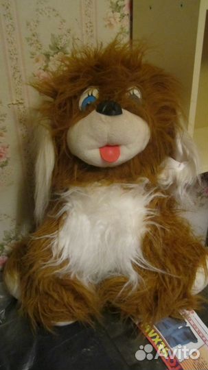 Мишка,Собака