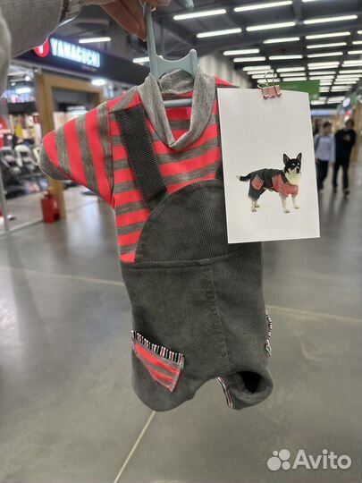 Одежда для собак на лето