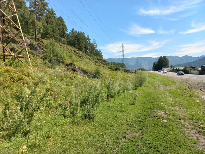 Участок 1,2 га (СНТ, ДНП)