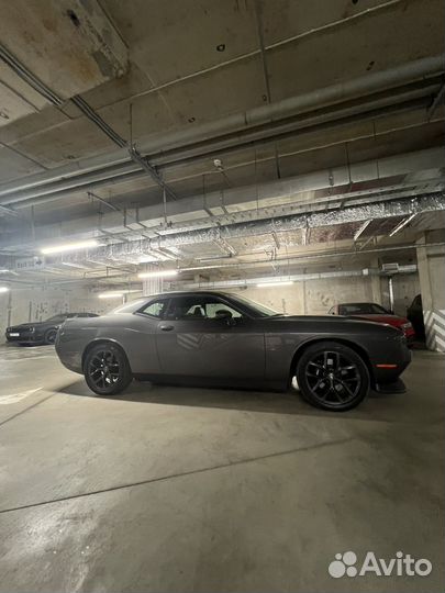 Dodge Challenger 3.6 AT, 2020, 51 000 км