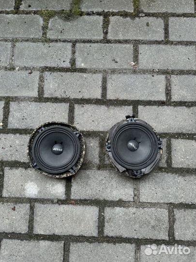 Колонки pride13