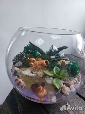 Флорариум с живыми цветами 