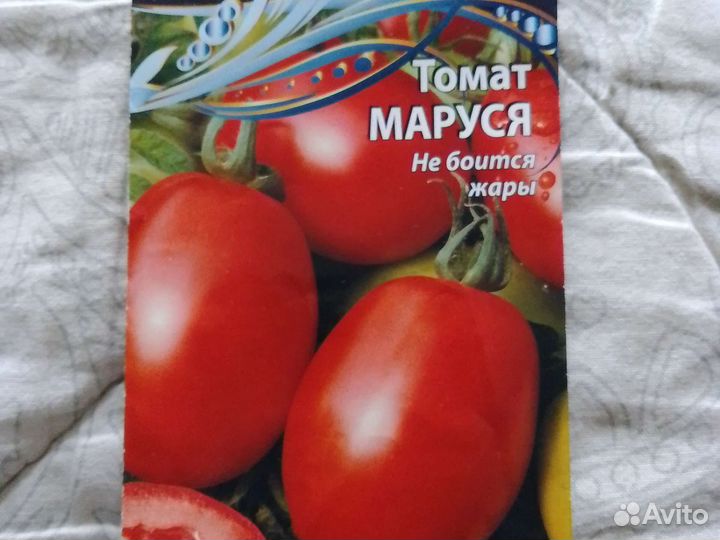 Рассада помидор